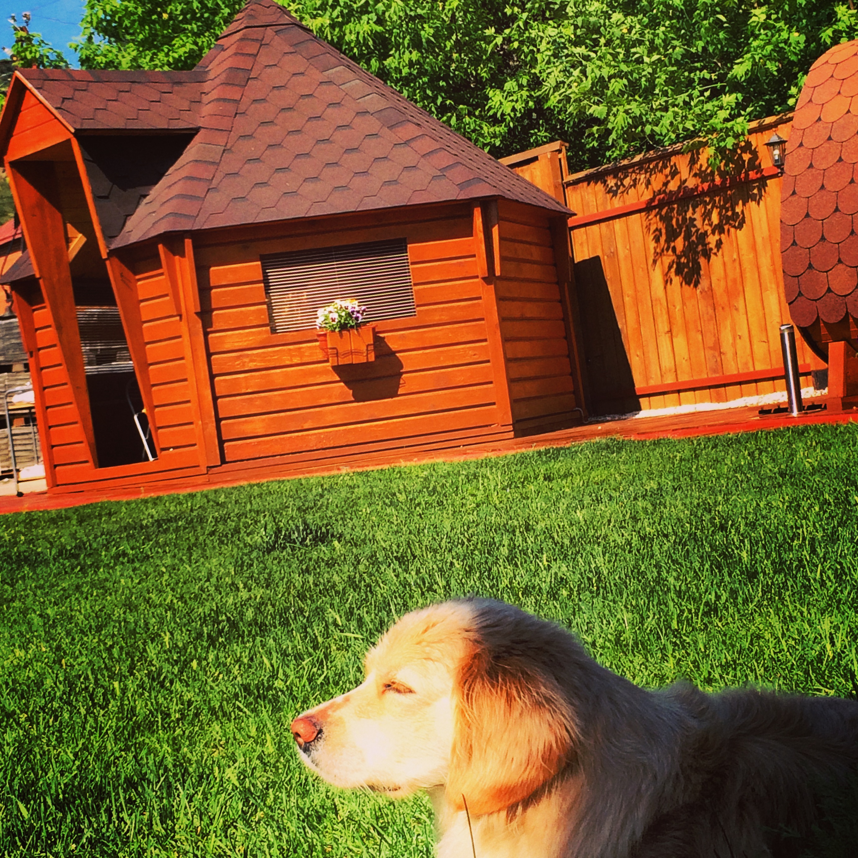 Зоны отдыха возле дома